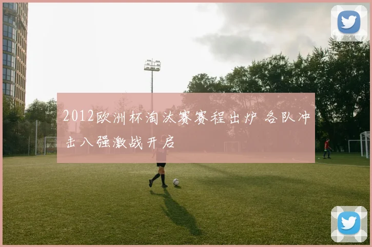 2012欧洲杯淘汰赛赛程出炉 各队冲击八强激战开启